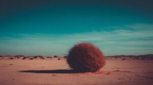 Cómo reducir inventario muerto y optimizar la logística: Guía práctica para PyMEs